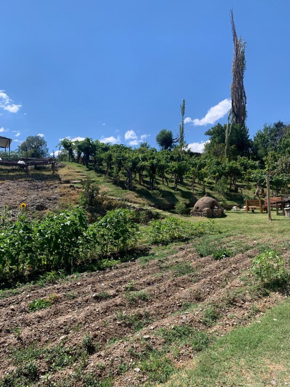 Cabana Cortaderas Mi Campito Cachi Salta Bagian luar foto