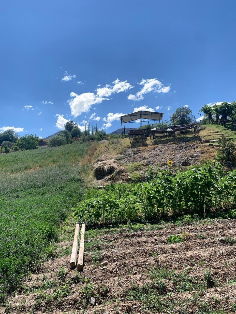 Cabana Cortaderas Mi Campito Cachi Salta Bagian luar foto